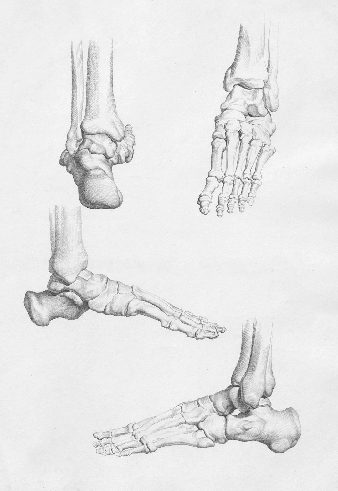 Effective Non-Surgical Solutions for Bunion Relief