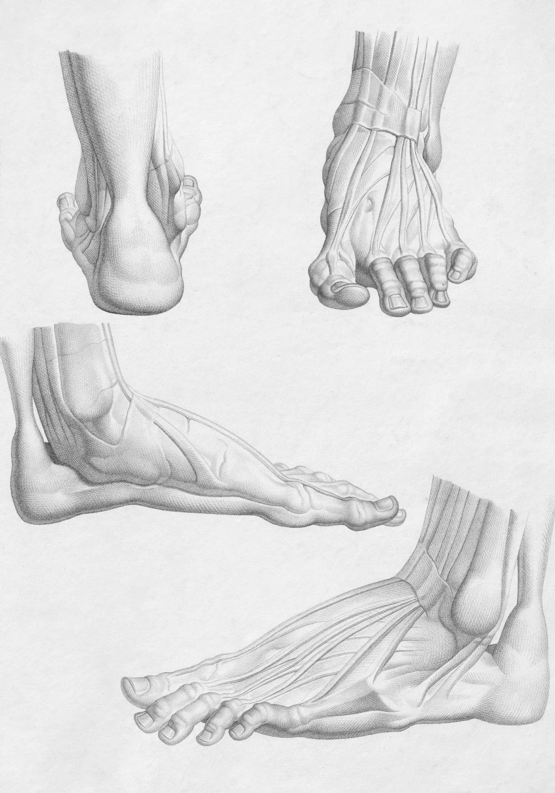The Impact of Orthotics on Bunion Healing